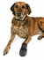 Botas Para Perros Protectoras Walker Trixie 20 Cm Talle XL