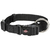 Collar Para Perros Premium Trixie S / M 30 A 45 Cm Negro