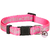 Collar Gato Reflectivo Regulable Antiahorque Cascabel Trixie - comprar online