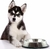 Comedero Bebedero Perro Acero Inoxidable Millex 30 Cm 1,8 L - Distribuidora Market Plus