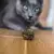 Hierba Gatera Catnip Ball Pelota Zootec Juguete Para Gatos - Distribuidora Market Plus