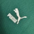 Camisa Palmeiras Treino 23/24 - Torcedor Puma Masculina - Verde e Branco na internet