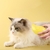 Escova Eletrica Vapor Massagem Desembaraça Pelos Cães Gatos - loja online