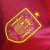 Imagem do Camisa Seleção da Espanha I 24/25 - Jogador Adidas Masculina - Vermelha com detalhes em amarelo