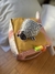 Peluches de animalitos cuadrados - comprar online