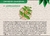Ashwagandha en polvo - Nutritional Life