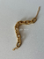 Pulseira corrente elo trabalhado dourada