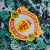 Camisa Manchester United Edição especial 24/25 - Jogador Adidas Masculina - Verde com detalhes em branco - loja online