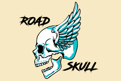 Road Skull camisetas