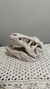 Crânio de T-Rex - comprar online