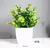 Planta Verde Bonsai Artificial - Loja Jr.VemVer