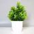 Imagem do Planta Verde Bonsai Artificial