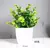 Imagem do Planta Verde Bonsai Artificial