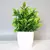 Planta Verde Bonsai Artificial - Loja Jr.VemVer
