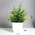Planta Verde Bonsai Artificial - comprar online