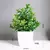 Planta Verde Bonsai Artificial na internet