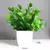 Planta Verde Bonsai Artificial - comprar online