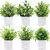 Planta Verde Bonsai Artificial - Loja Jr.VemVer