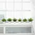 Imagem do Planta Verde Bonsai Artificial