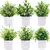Planta Verde Bonsai Artificial - comprar online