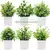 Planta Verde Bonsai Artificial