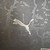 Camisa Torcedor Borussia Dortmund 23/24 Special - loja online