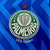 Camisa Palmeiras 24/25 Goleiro - loja online