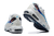 AIR MAX 95 "3 LIONS" na internet