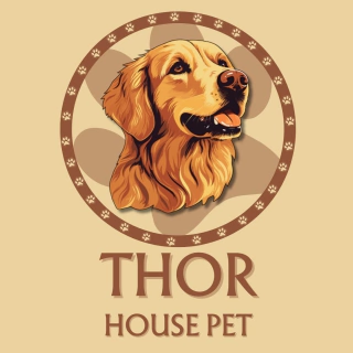 Thor House Pet