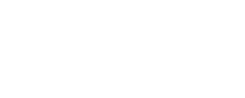 Lincce