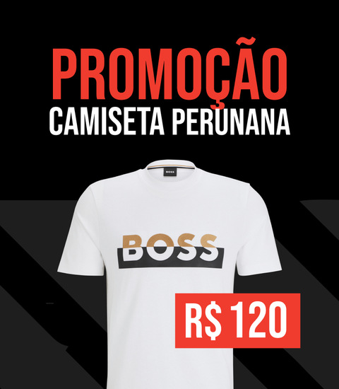 Carrossel 1