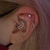 Piercing Argola Dupla Vazada Cravejado Zircônias - Titânio - Arievilo Piercing