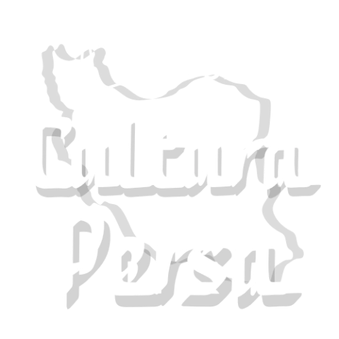 Loja Cultura Persa 