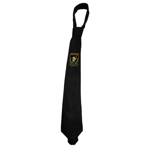 Corbata Institucional