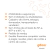 Sistema Gweb - loja online