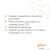 Sistema Gweb
