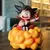 Dragon Ball PVC Sun Goku Action Figure, Anime Estátua Coleção, Boneca Modelo, na internet