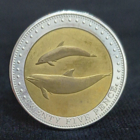 Tristão da Cunha, 25 Pence - 2008