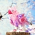 52toys Beastbox Bb-10bl Blossom Transformable! en internet