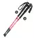 Bastones de Trekking Nexxt Oslo en internet