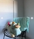 Peluches con manta dentro - tienda online