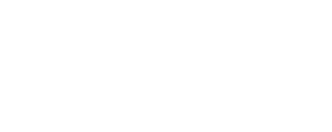 Paladino Store