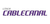 Union T Plana Para Cablecanal 100x50 Pr6101 Roker - comprar online