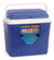 Conservadora Heladerita Frio Colombraro 5 Lts Portatil - comprar online