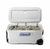 Conservadora Coleman 316 Series Marine 100qt Con Ruedas en internet