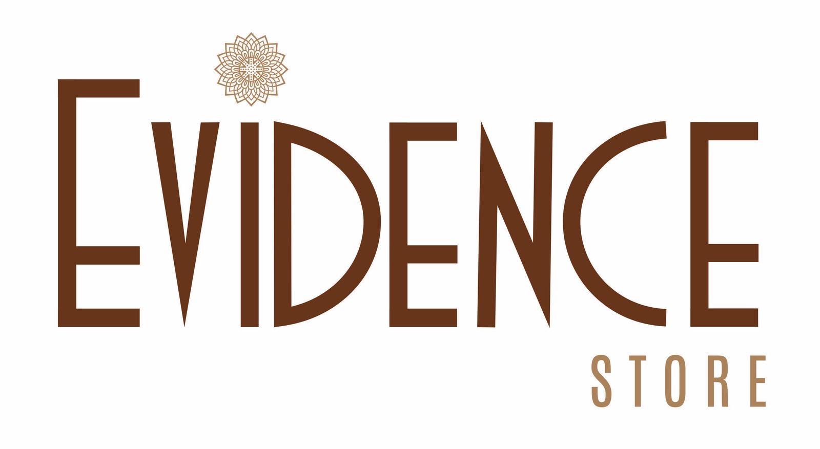 Evidence Store