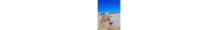 Banner de la categoría Viajando con mi mascota