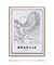 Quadro Decorativo Mapa de Brasília - comprar online