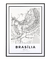 Quadro Decorativo Mapa de Brasília