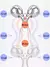 Massageador Manual 3D para o Rosto (IMPORTADO) - loja online